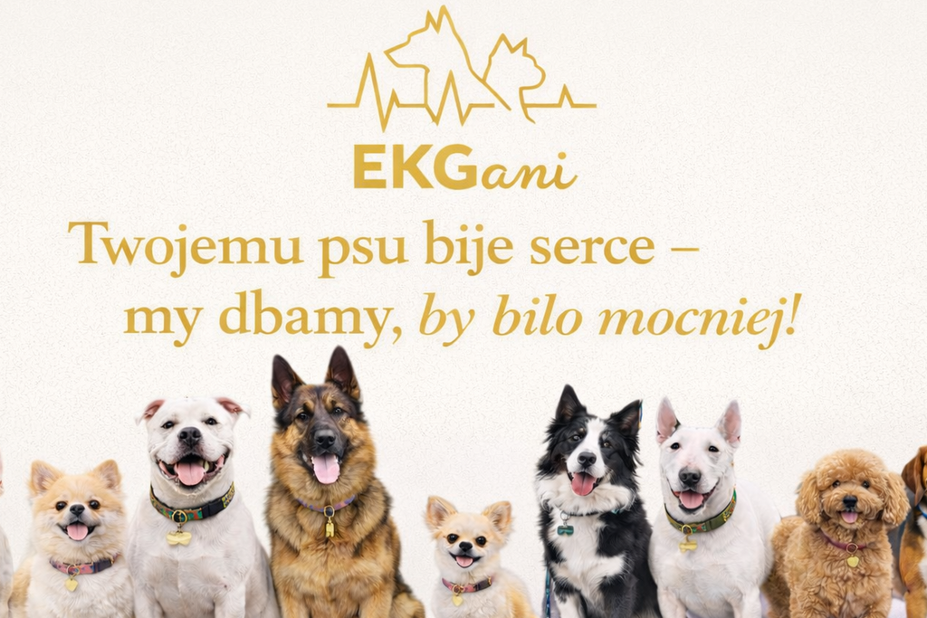 Joint Gold suplement dla psów na stawy i kości, miękkie kąski