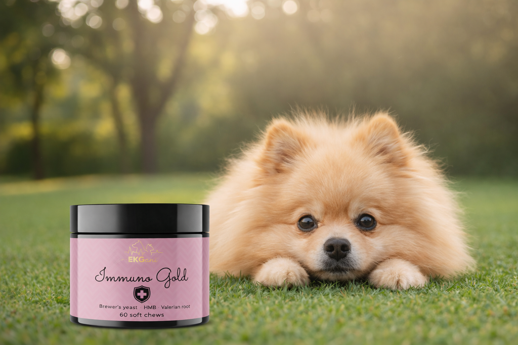 Immuno Gold wsparcie odporności psa