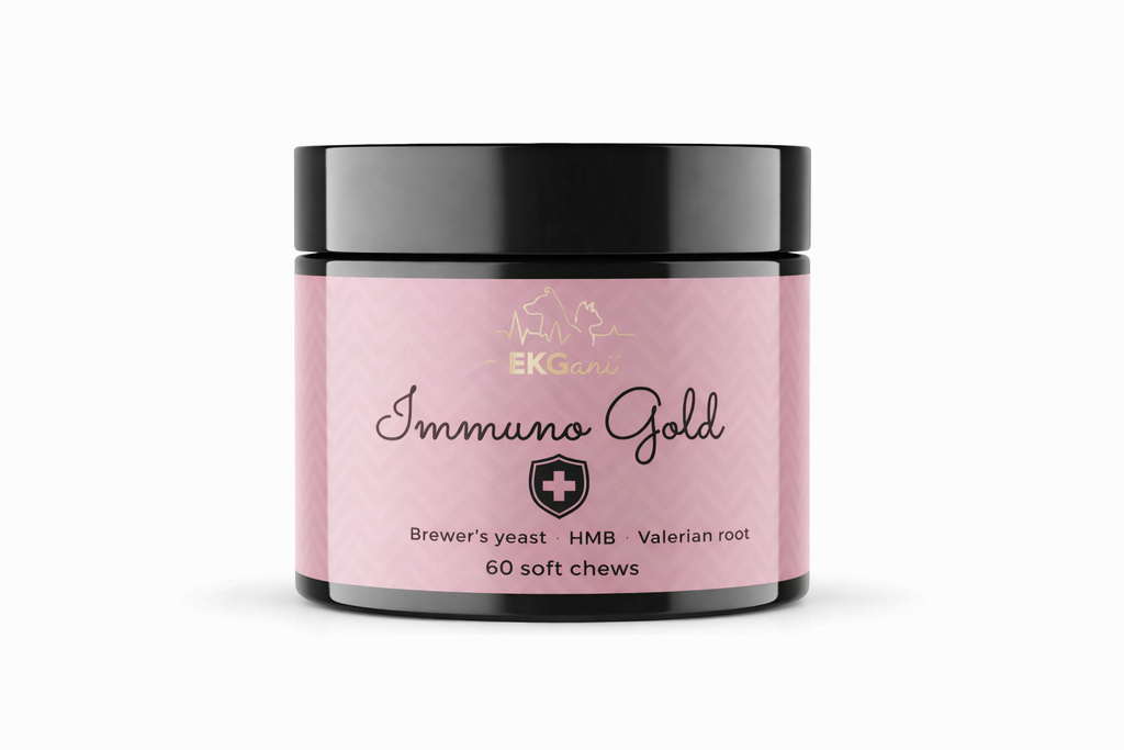 Immuno Gold wsparcie odporności psa